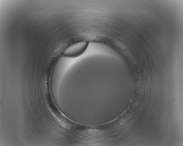 X0000064740590200602241800