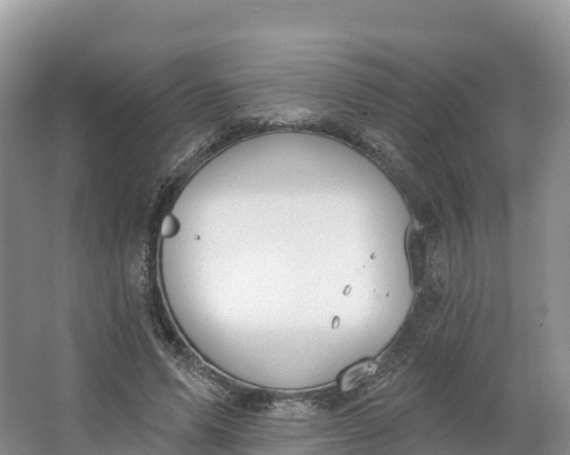 X0000064740591200602241800