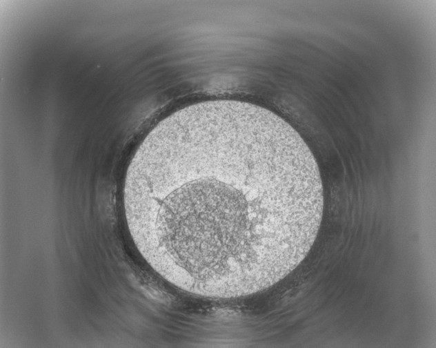 X0000064740592200602241800