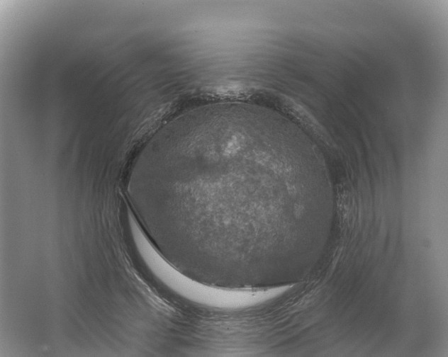 X0000064740593200602241800