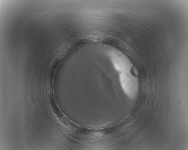 X0000064740594200602241800