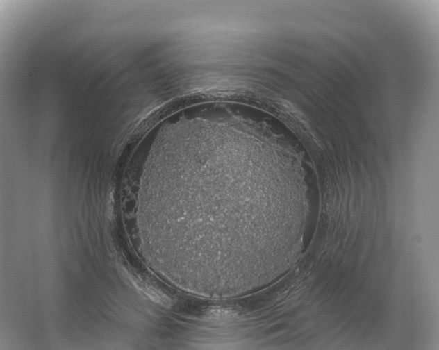 X0000064740596200602241800