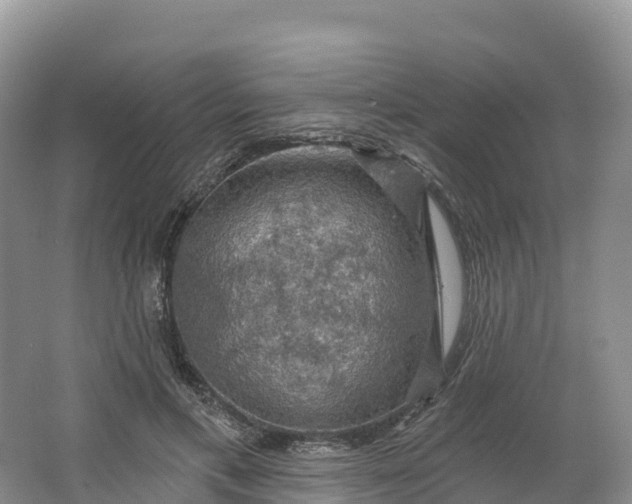 X0000064740597200602241800