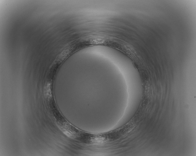 X0000064740598200602241800