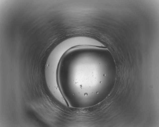 X0000064740599200602241800