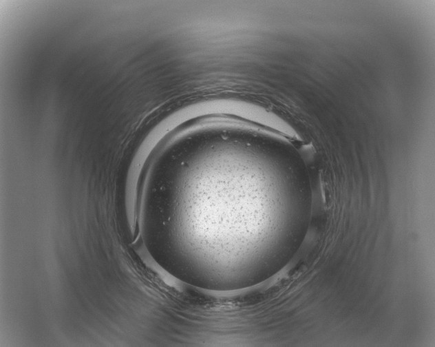 X0000064740600200602241800