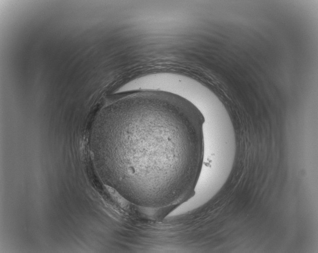 X0000064740601200602241800