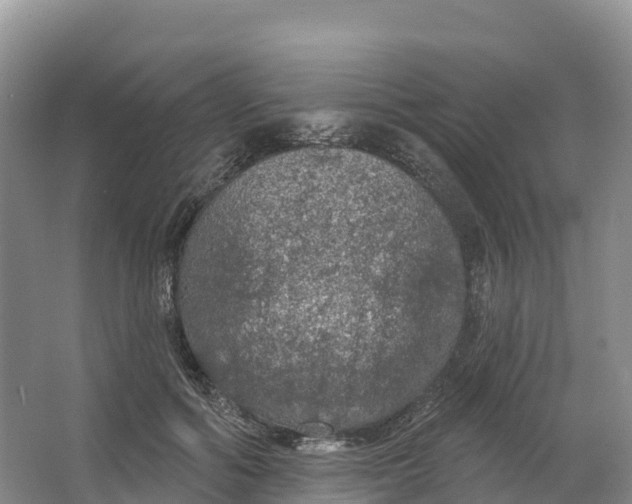 X0000064740602200602241800