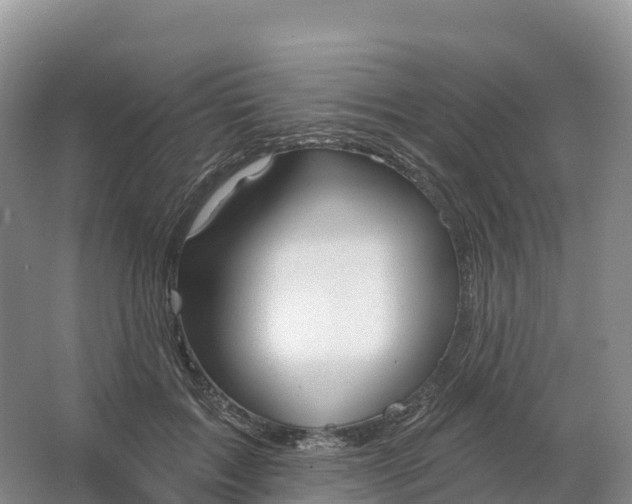 X0000064740603200602241800