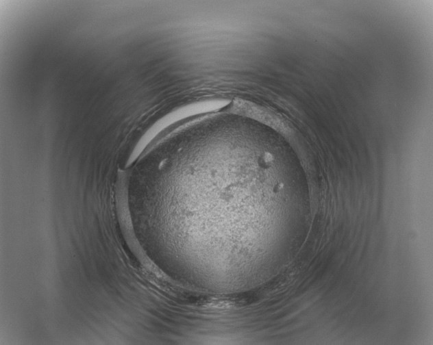 X0000064740604200602241800