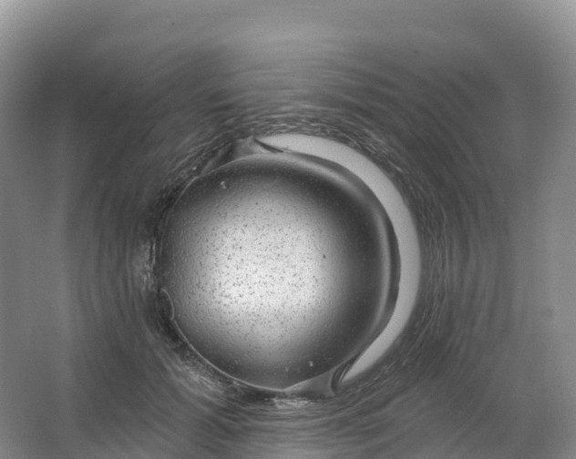 X0000064740605200602241800