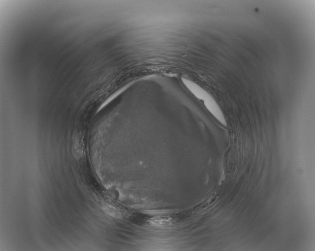 X0000064740606200602241800