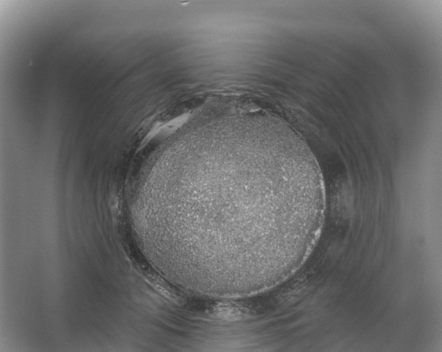 X0000064740608200602241800