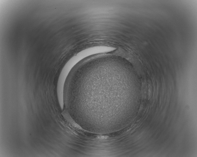 X0000064740609200602241800