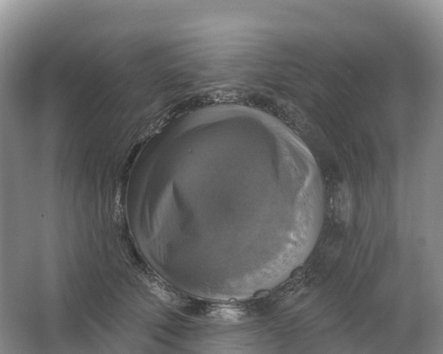 X0000064740610200602241800