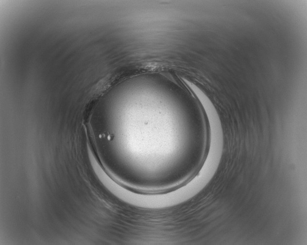 X0000064740611200602241800