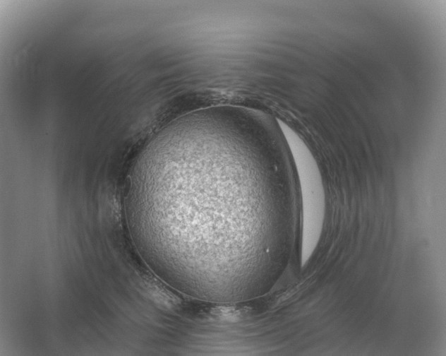 X0000064740613200602241800