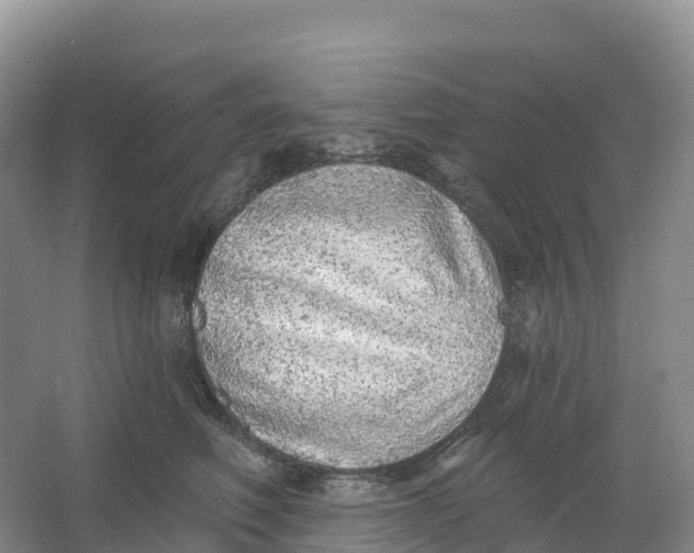 X0000064740614200602241759