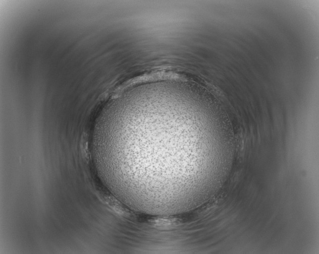 X0000064740615200602241759