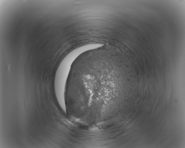 X0000064740616200602241759