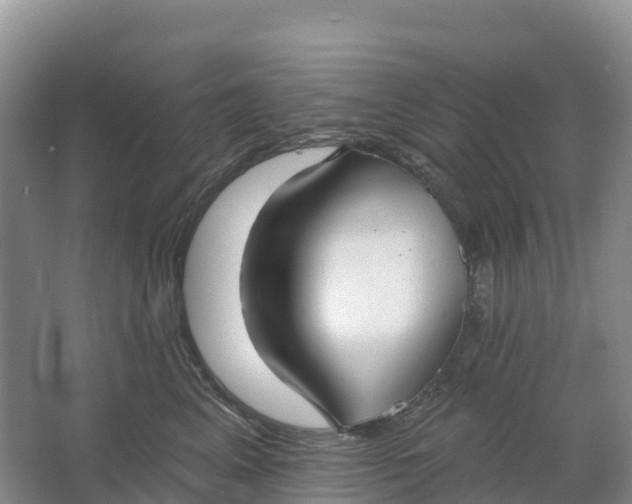 X0000064740617200602241759