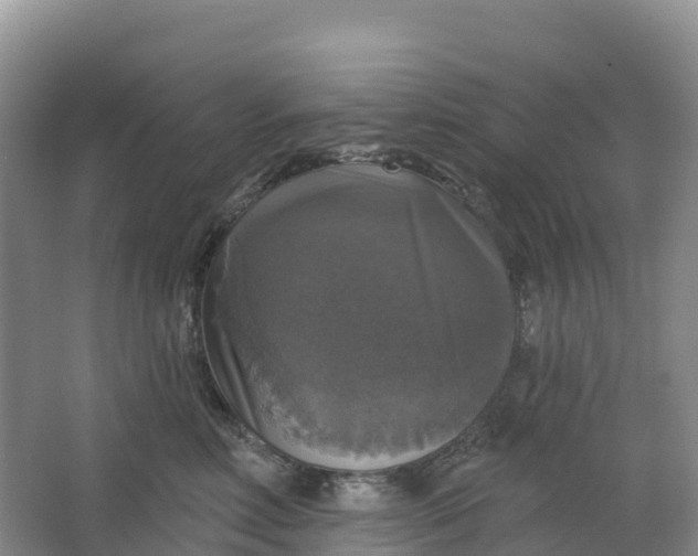 X0000064740618200602241759