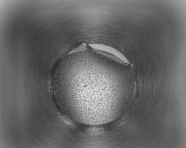 X0000064740619200602241759