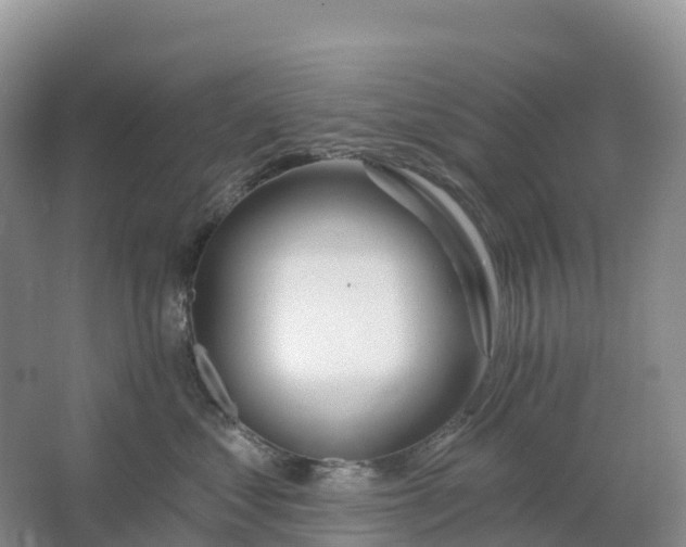 X0000064740621200602241759