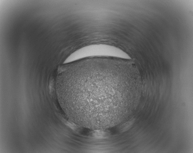 X0000064740623200602241759