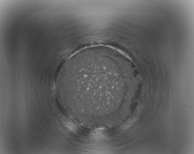 X0000064740624200602241759