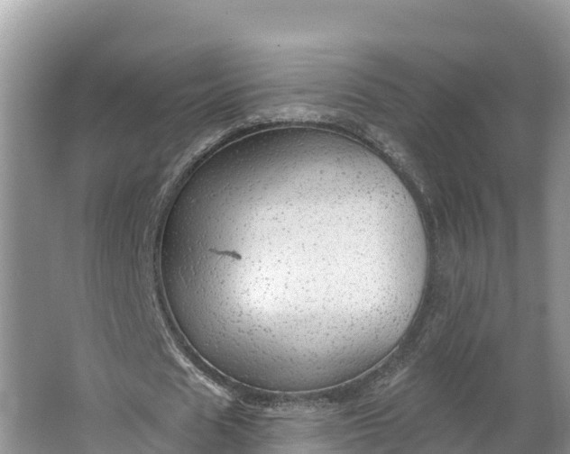 X0000064740625200602241758