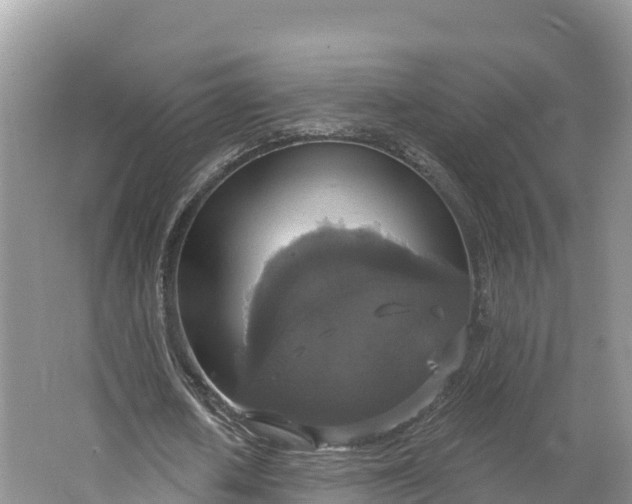 X0000064740626200602241758