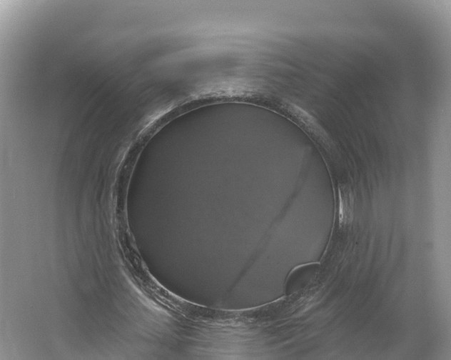 X0000064740627200602241758