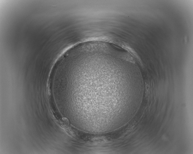 X0000064740628200602241758