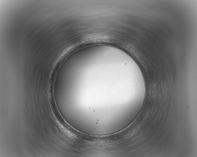 X0000064740629200602241758