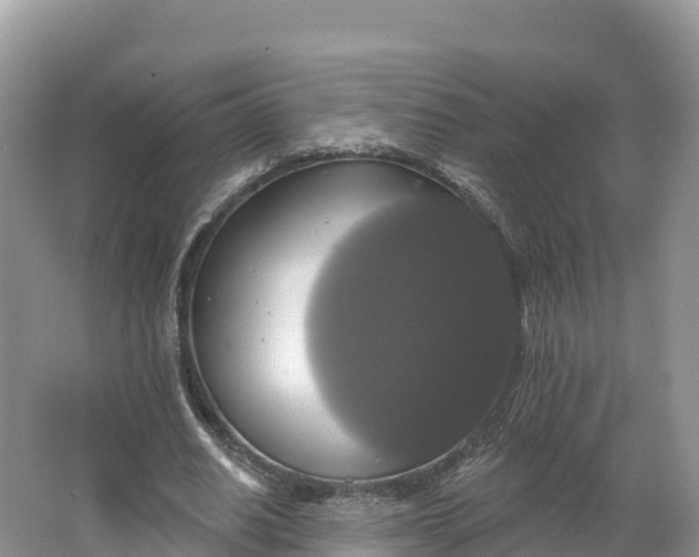 X0000064740630200602241758