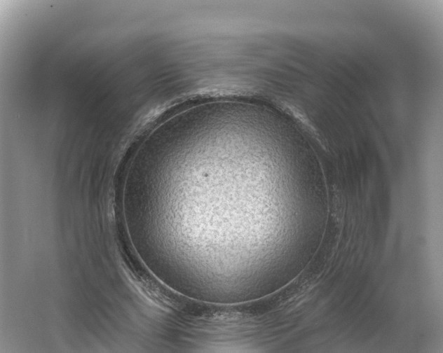 X0000064740631200602241758