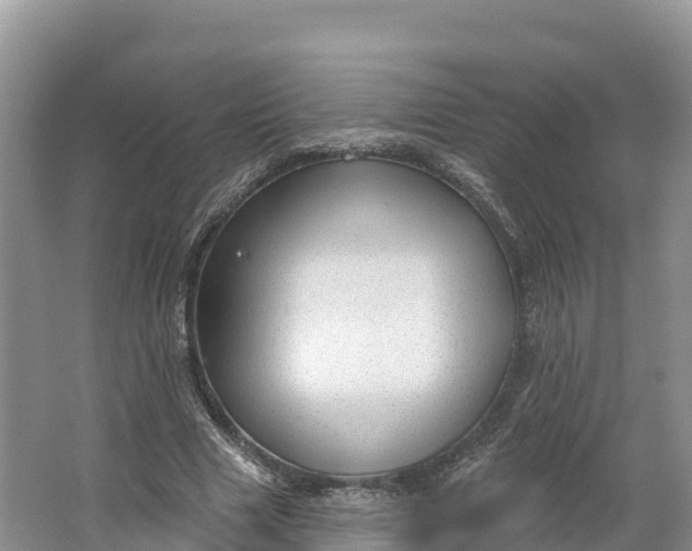 X0000064740633200602241758