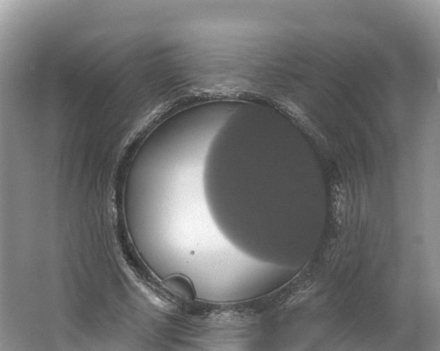 X0000064740634200602241758