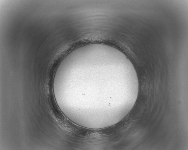 X0000064740635200602241758