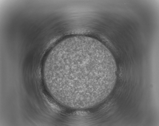 X0000064740636200602241758