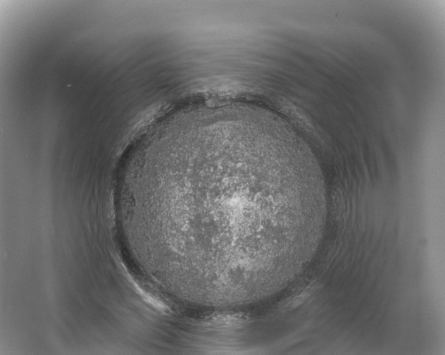 X0000064740638200602241758