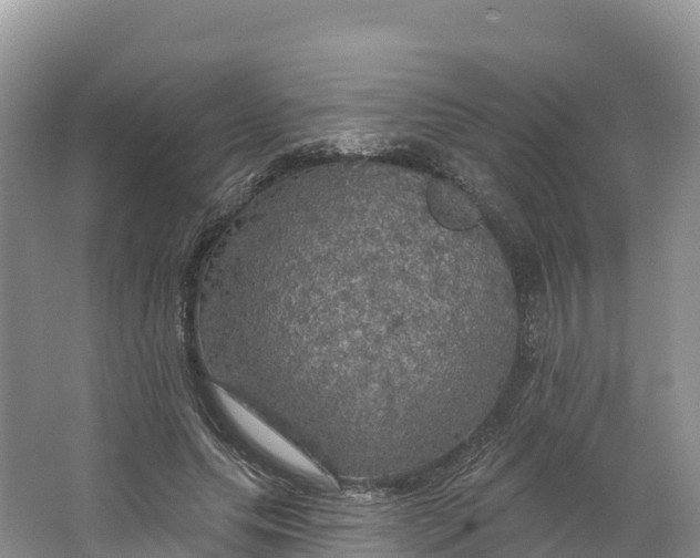 X0000064740639200602241758