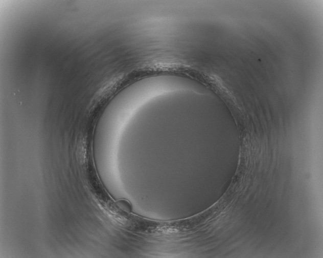 X0000064740640200602241758