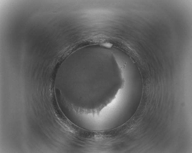 X0000064740641200602241758