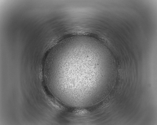 X0000064740642200602241758