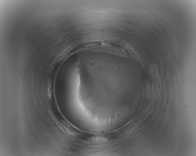 X0000064740644200602241758