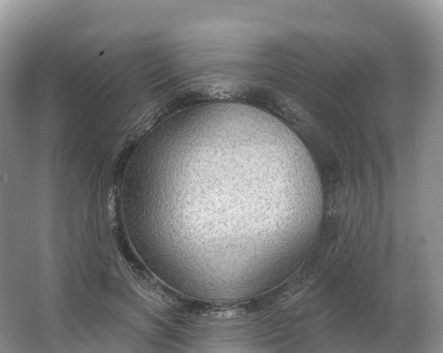 X0000064740646200602241759