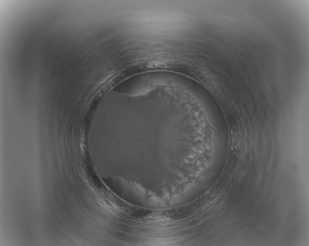 X0000064740648200602241759