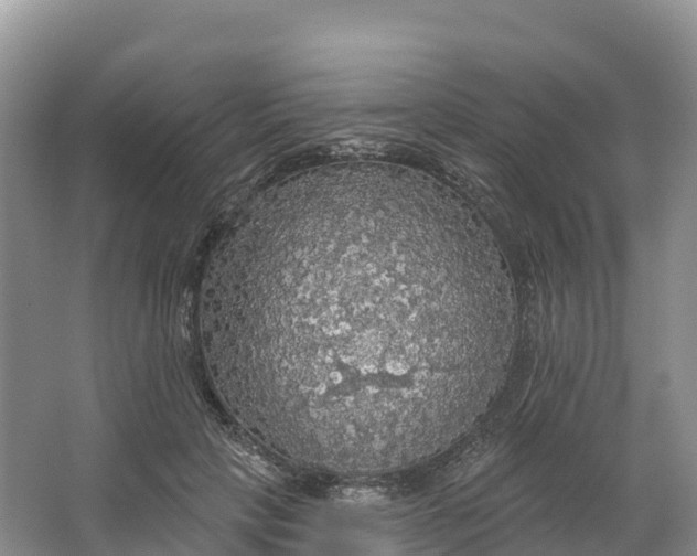 X0000064740649200602241759